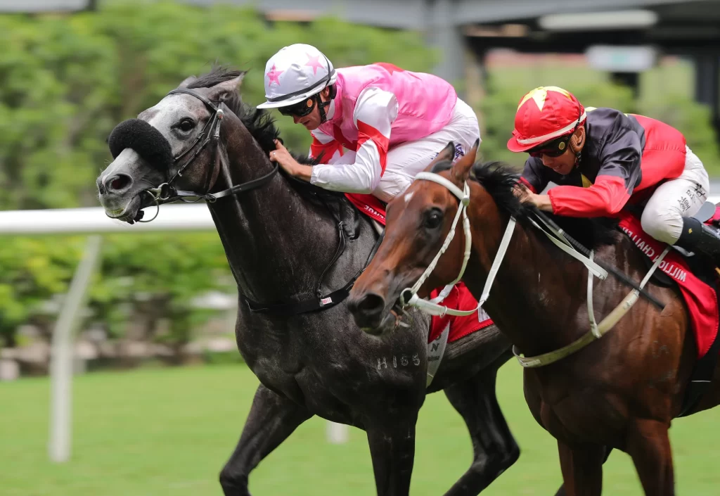 友ダ近心與合夥雄心狹路相逢！跑馬地精彩二級賽蓄勢待發