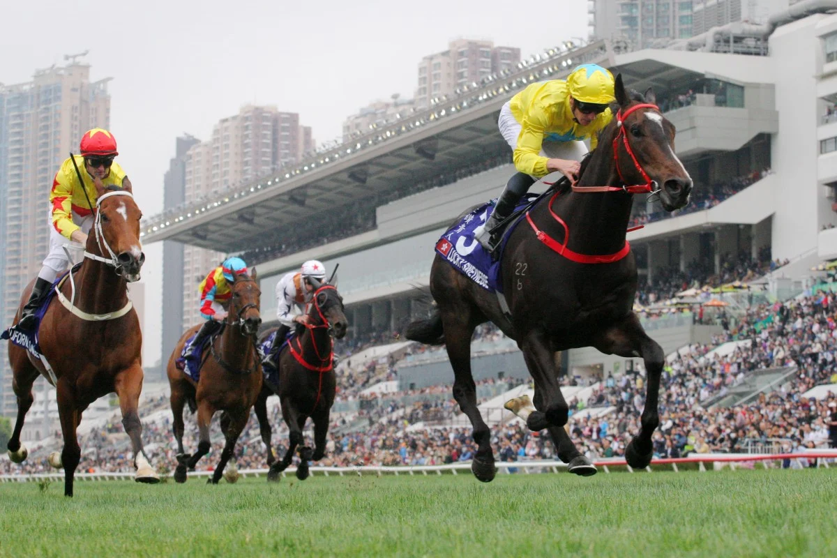 麥當勞信心滿滿,期待幸運賽恩斯在皇后銀禧盃重返巔峰