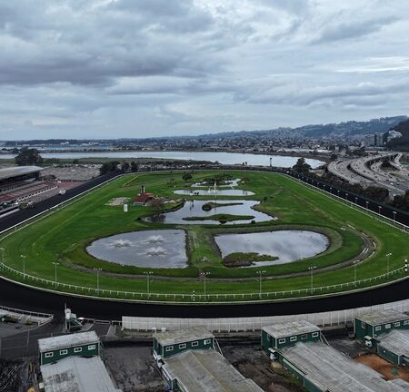 馬術界賽馬賠率大地震：聖安尼塔大腳驟封 或變身別樣