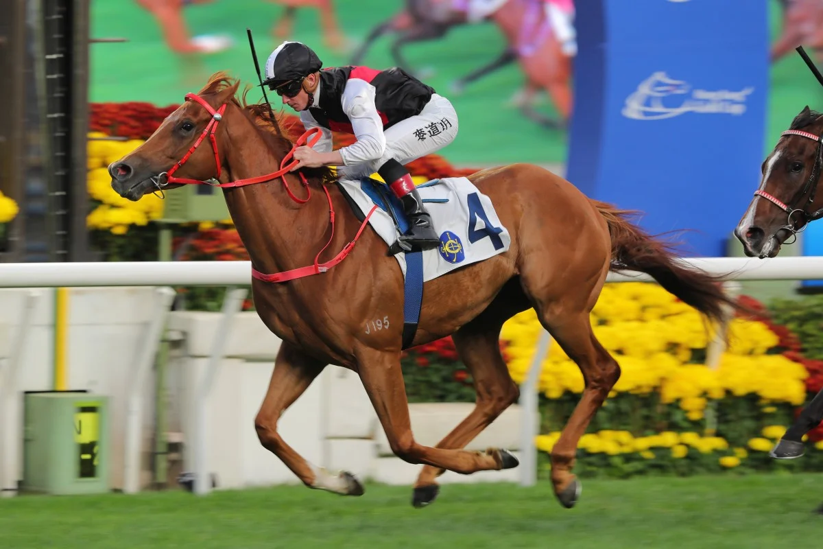 香港馬會大舉推駕馬會征服年輕精英市場