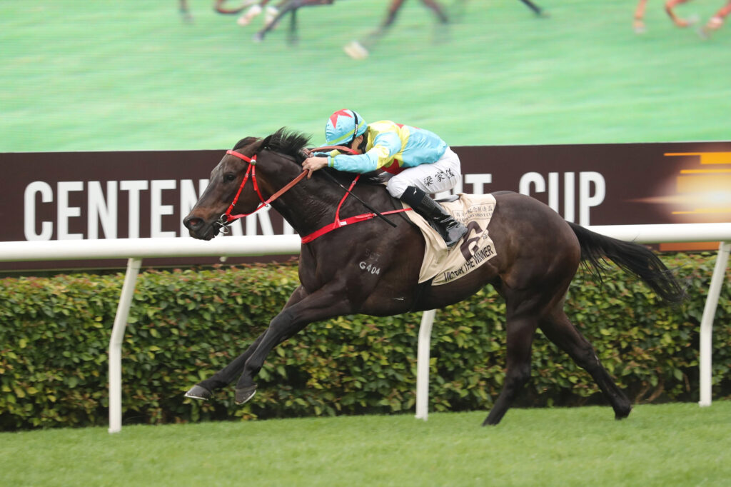 梁家俊再度挑戰海外賽場：「維特勝利號」挑戰高知獎（1200米）