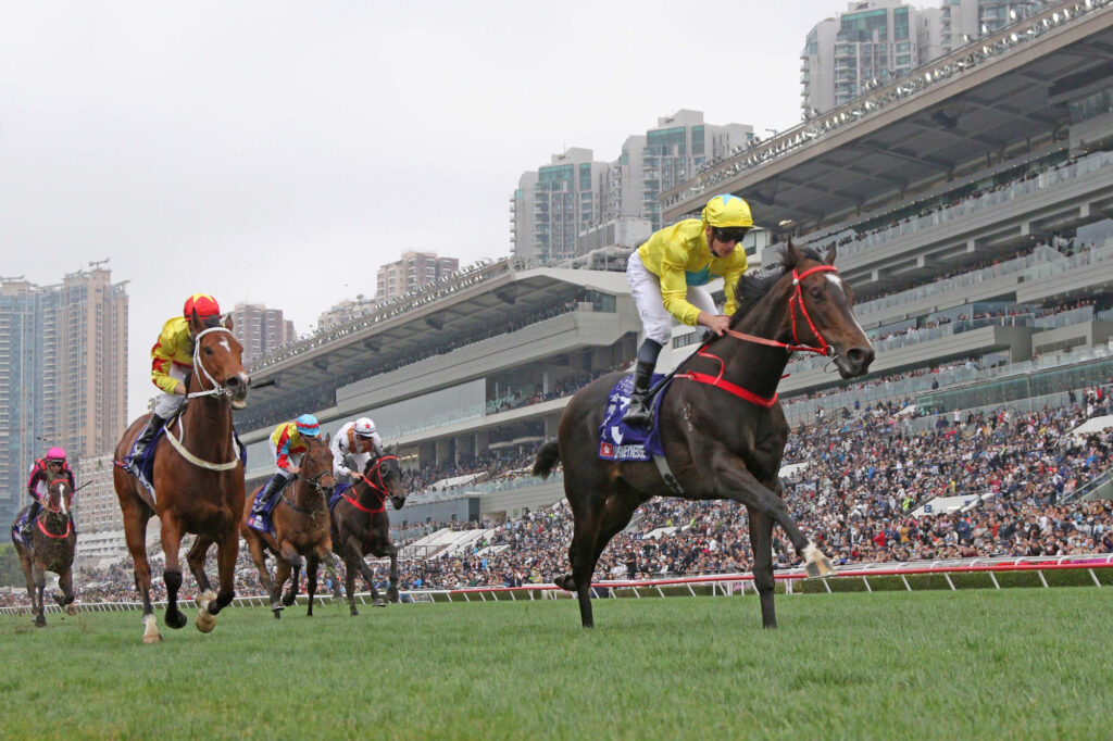 香港賽馬賠率：勝利的渴望