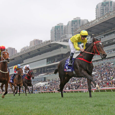 香港賽馬賠率：勝利的渴望