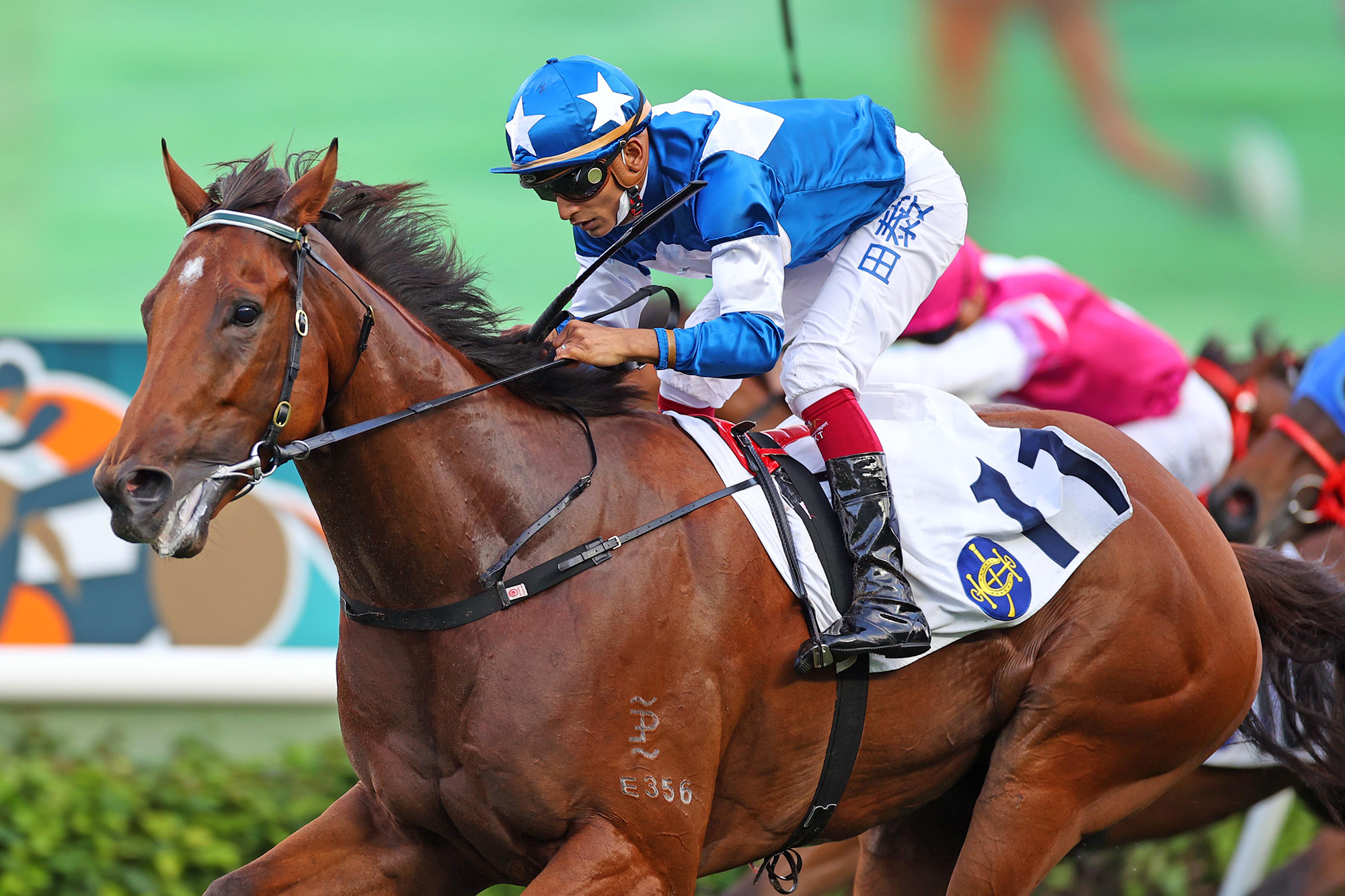 福祿華廄軍再戰速度系列 爭取添食「女皇銀禧盃」